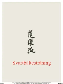 Svartbältesträning Yudanshakai