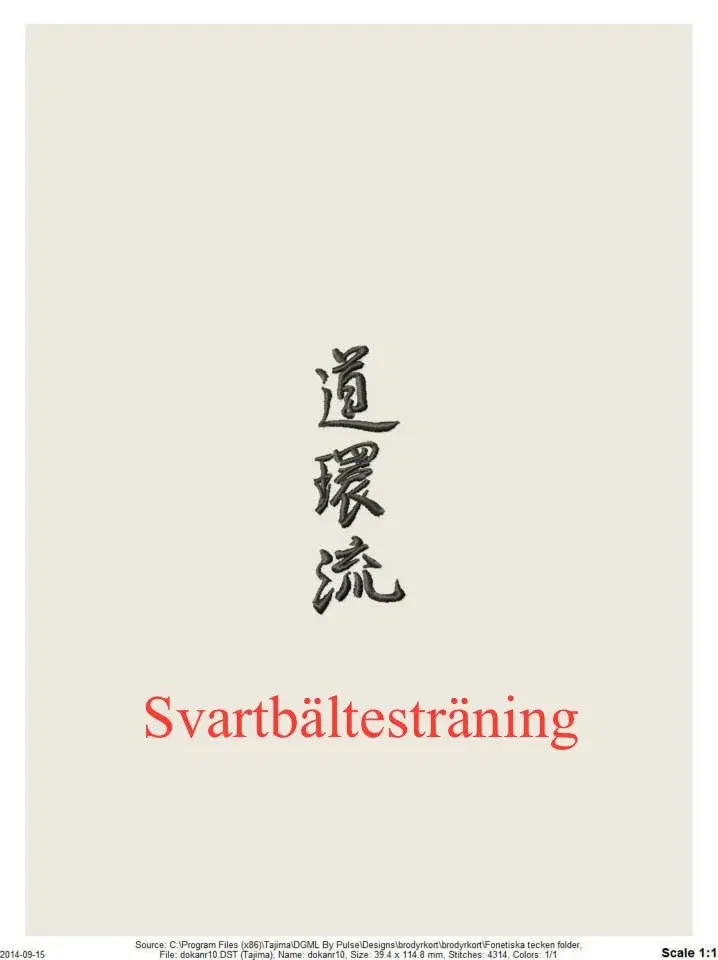 Svartbältesträning Yudanshakai