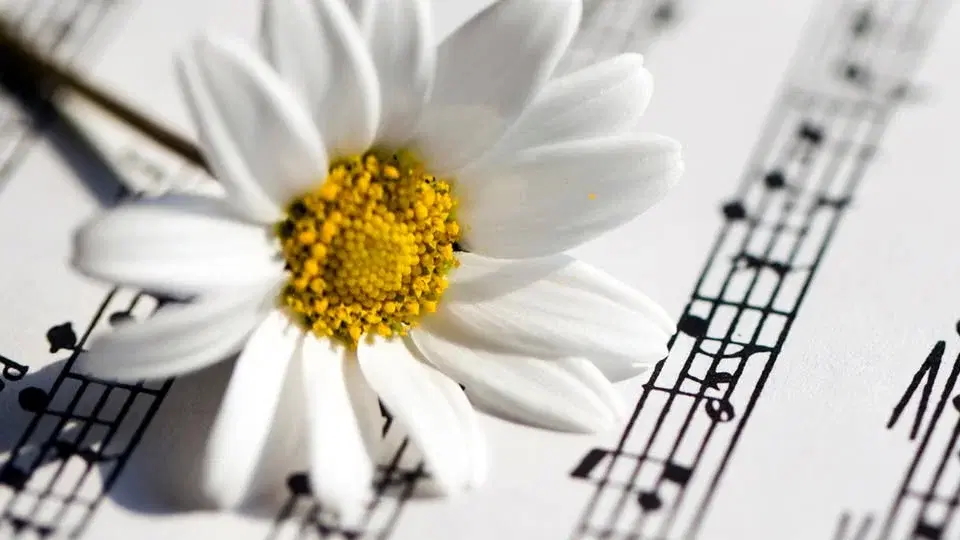 Västerås Sinfonietta: Vårcaprice