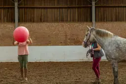 Young Horse Happy Hour