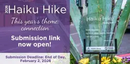 The Downtown Tucson Haiku Hike