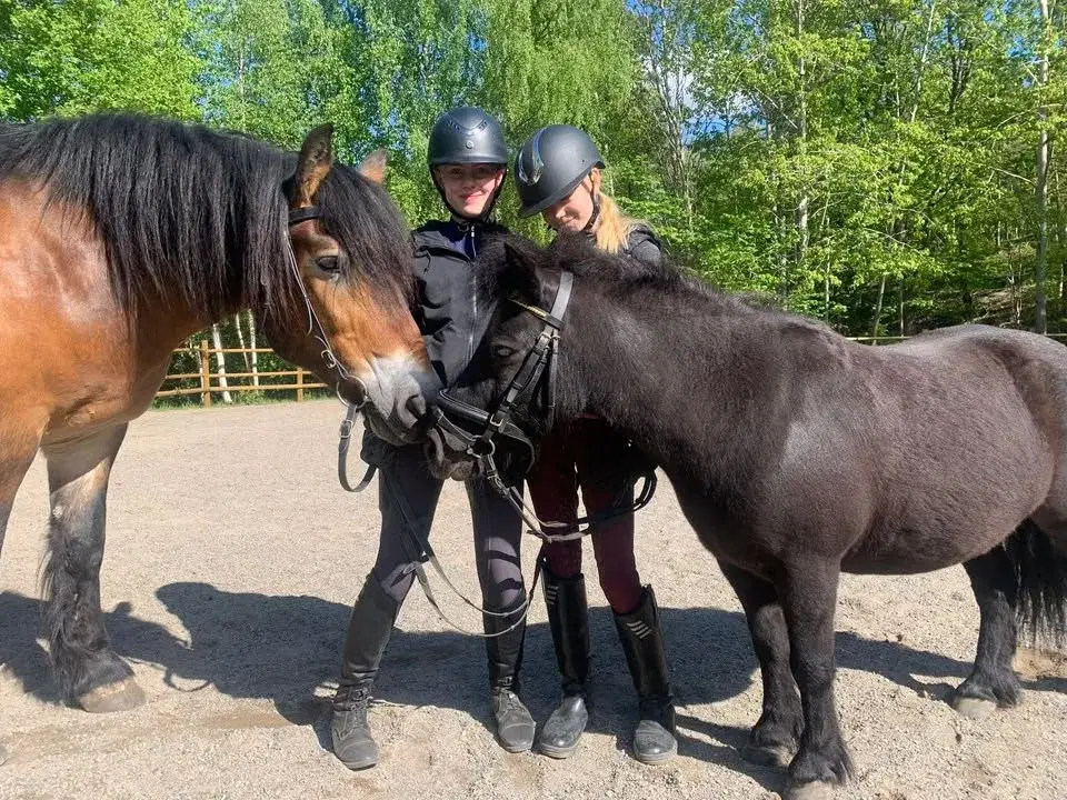 Hästskötarkurs 2, 7-14 år på Eolshälls 4H i Hägersten