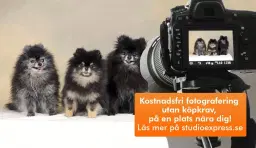 Arken Zoo Stockholm Arninge - Kostnadsfri djur-, barn- och familjefotografering