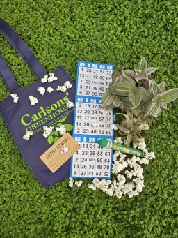 Plant Bingo @ Carlsons' Greenhouse