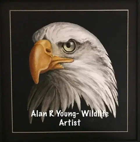 2-Day Watercolor in Drybrush Workshop with Alan R. Young