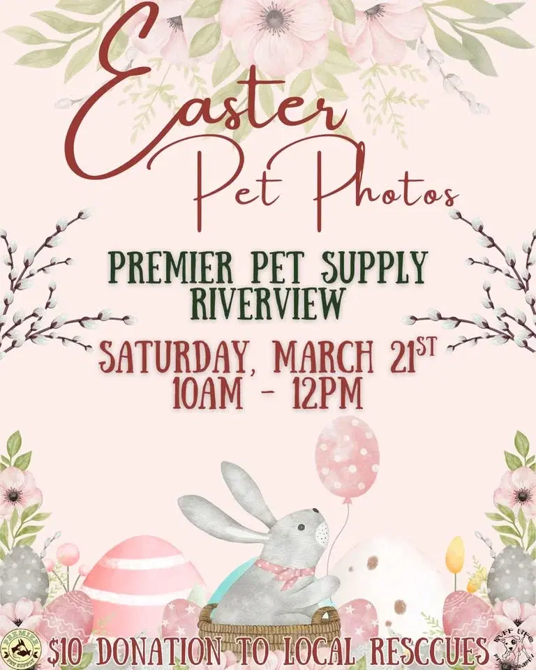 Easter Pet Photos W/ Ruff Life Photography!