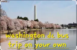 Washington DC bus trip PICK UP SALISBURY SEAFORD CAMBRIDGE
