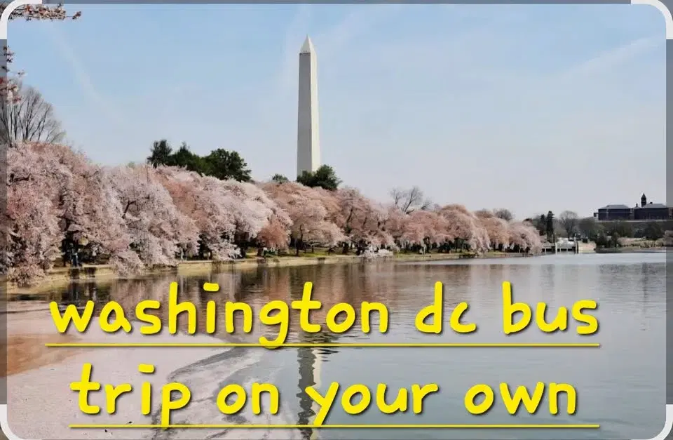 Washington DC bus trip PICK UP SALISBURY SEAFORD CAMBRIDGE