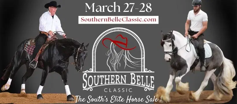 2026 4th Annual Southern Belle Classic | The South's Elite Horse Sale