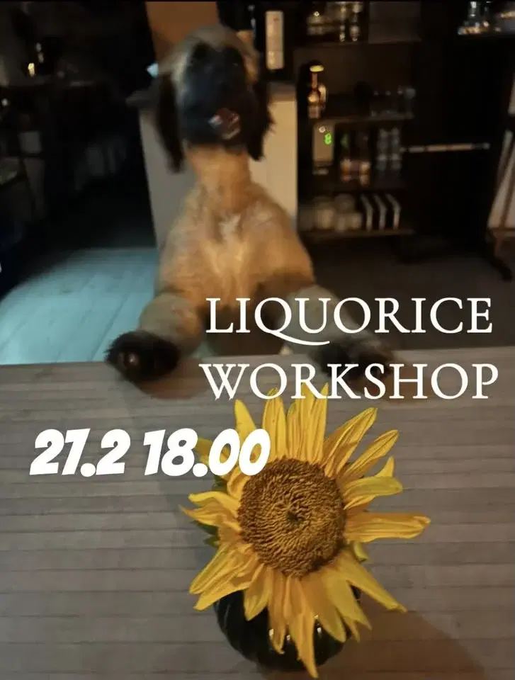 Ska vi laga lakrits ? 27.2.2026 Tehdäänkö lakritsaa ?