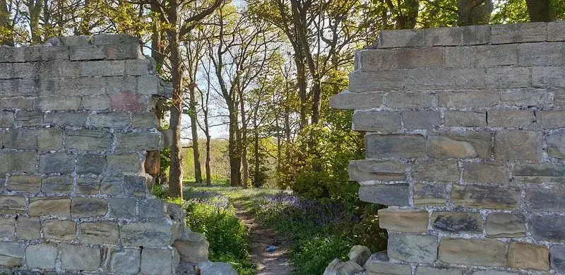 Curator talk: 200 years of Waterton's Wall