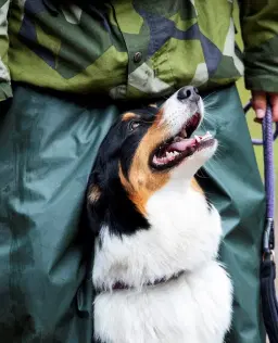 Informationsmöte Hundförare Hemvärnet