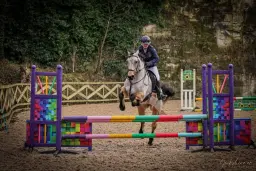 đ«UNAFFILIATED SHOWJUMPING INC QUALIFIERS đ«