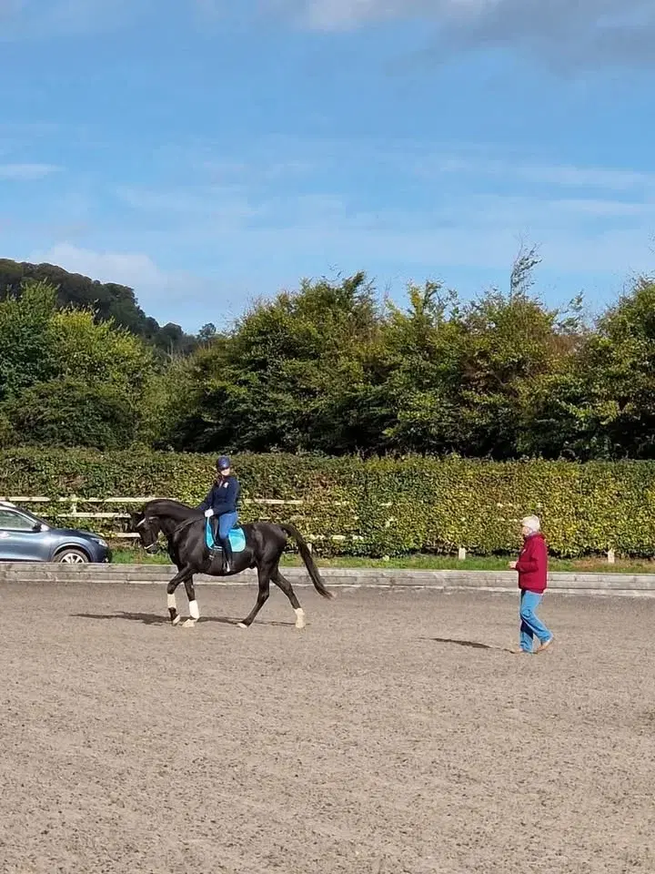 Helen Griffiths Dressage HG0703
