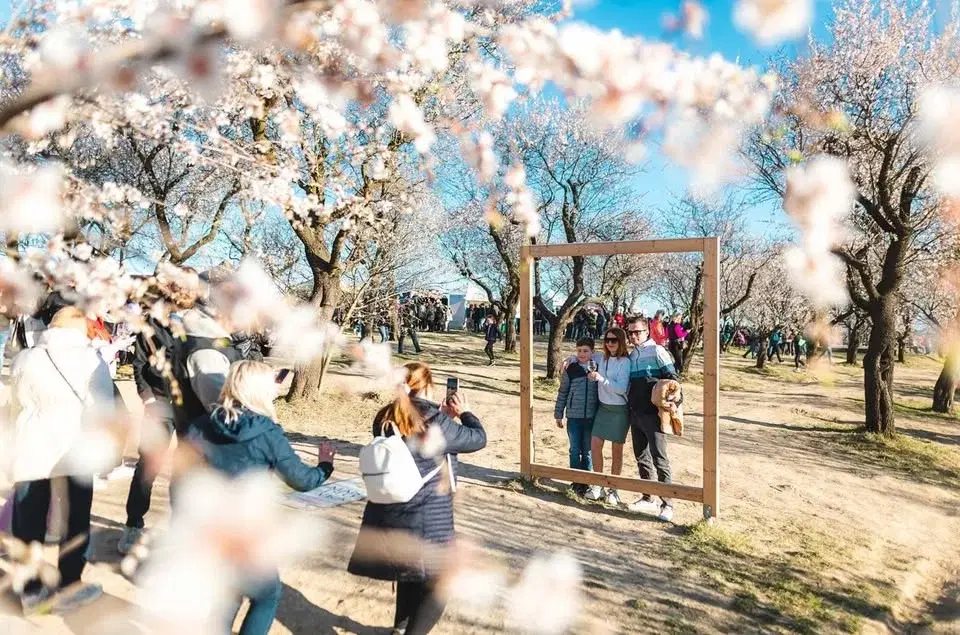 Slavnosti mandloní a vína 2026