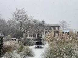 Film show: Hollywood Music Festival, Leycett, 1970