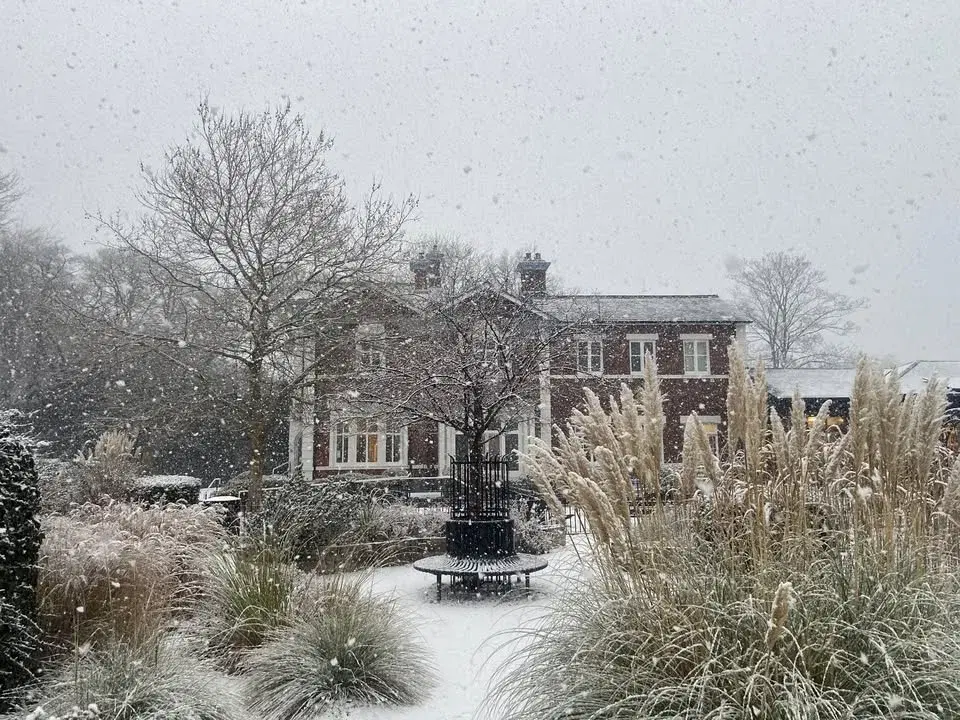 Film show: Hollywood Music Festival, Leycett, 1970