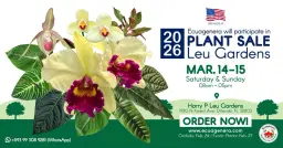 Ecuagenera will participate in 2026 Plant Sale - Leu Gardens