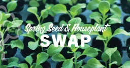 Spring Seed & Houseplant Swap