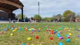 Winder's Eggstravaganza