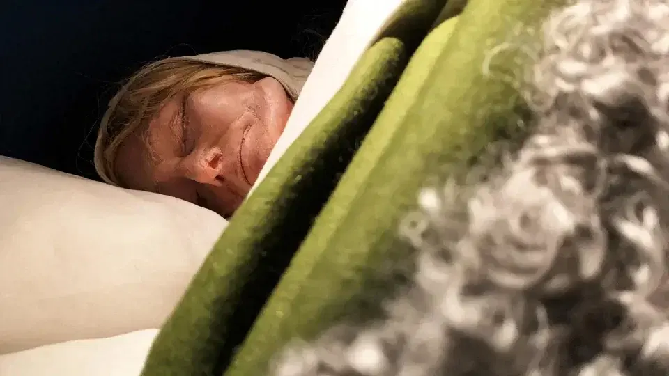 Historiedetektiverna: Mysteriet med den snarkande änkan