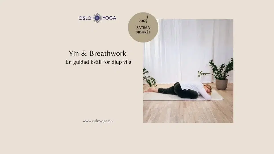 Yin & Breathwork: En guidad kväll för djup vila