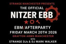 Nitzer Ebb Official after party
