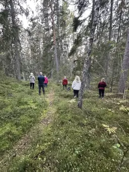 Skogsyoga i Tyresö