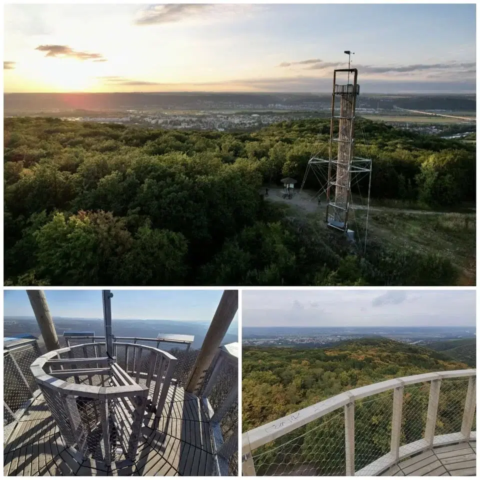 25. Psovýlet na rozhlednu Závist