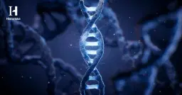 Anna Hegardt Källén: Gammalt DNA – en sanning med modifikation (På plats & digitalt)