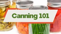 Canning 101 class
