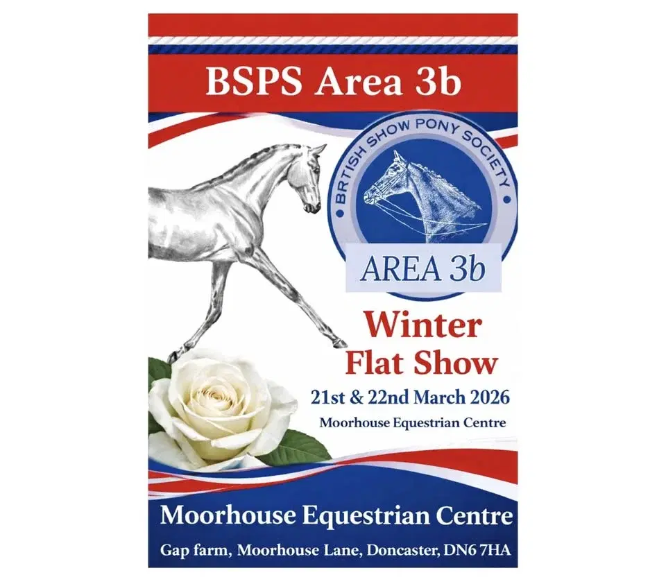 BSPS Winter Flat Show
