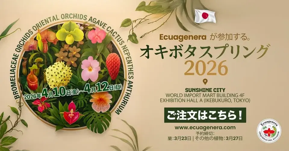 Ecuageneraは「Okibota Spring 2026」に参加します。