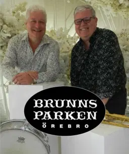 Trivseldans med Hedins i Brunnsparken 3/3