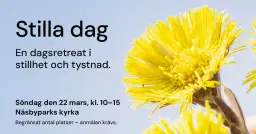 Stilla dag – en dagsretreat i stillhet och tystnad.