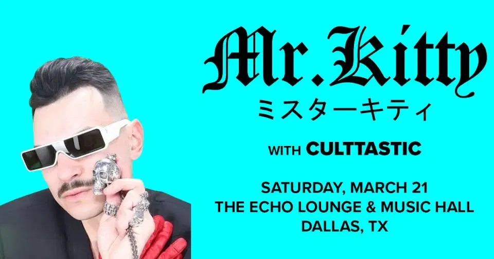 Mr.Kitty