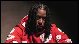 Shreez | La Petite Boîte Noire