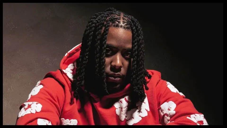 Shreez | La Petite Boîte Noire