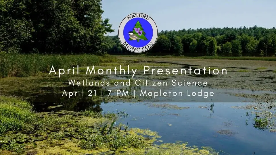 Nature Moncton's April Monthly Presentation