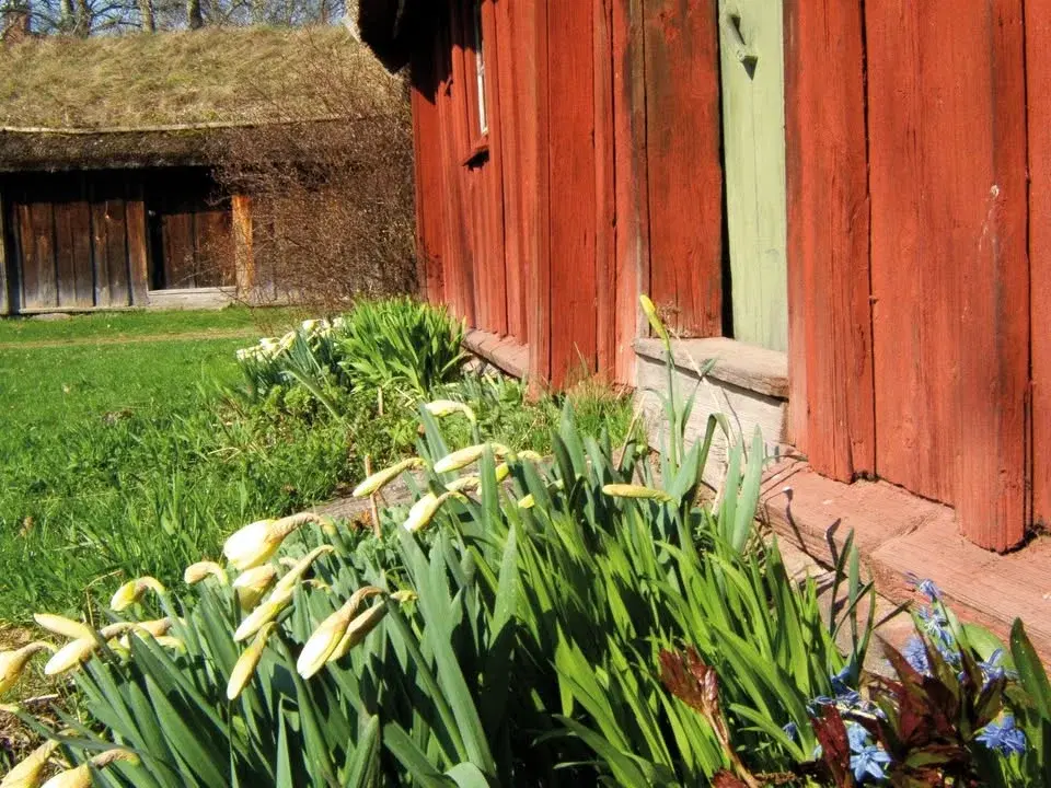 Kvällsvisning av Fornbyn