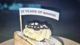 10 YEARS OF mmmmm