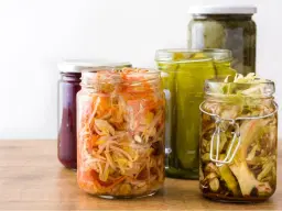 The Art of Fermenting
