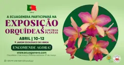 A Ecuagenera participarĂĄ na Exposição OrquĂdeas & Outras Plantas
