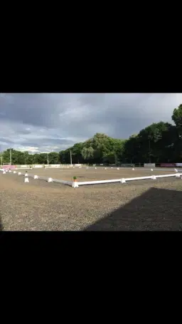 Stressless Dressage, TBQ