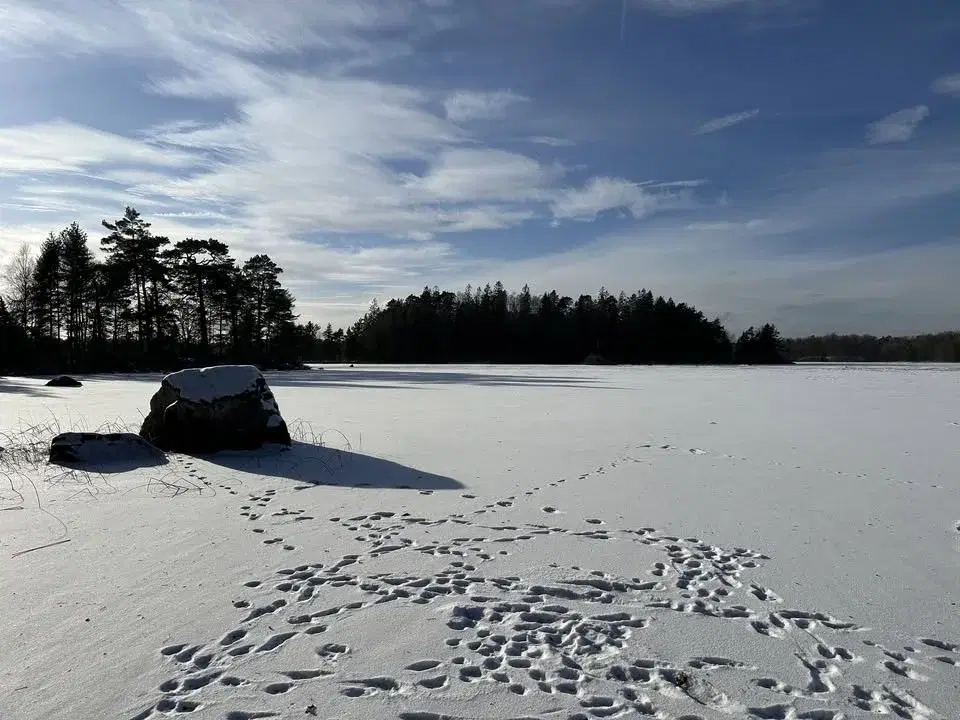 VINTERVANDRING I VITTSJÖ 28 februari - 1 mars 2026 #121