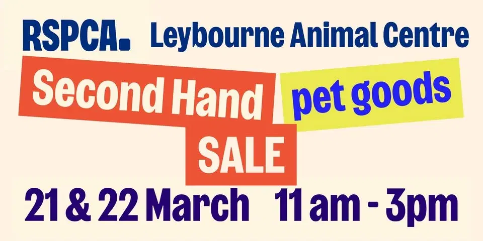 Second-hand Pet Accessories Sale!