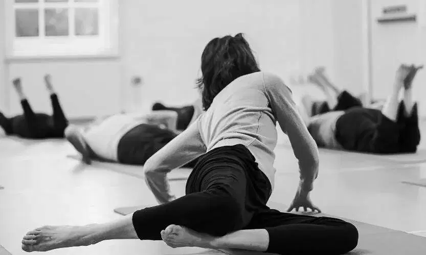 Awareness Through Movement (+ social dinner)