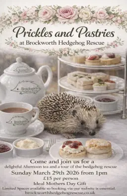 Prickles and Pastries - Afternoon Tea and Rescue Tour