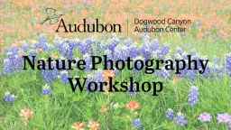 Nature Photography Workshop