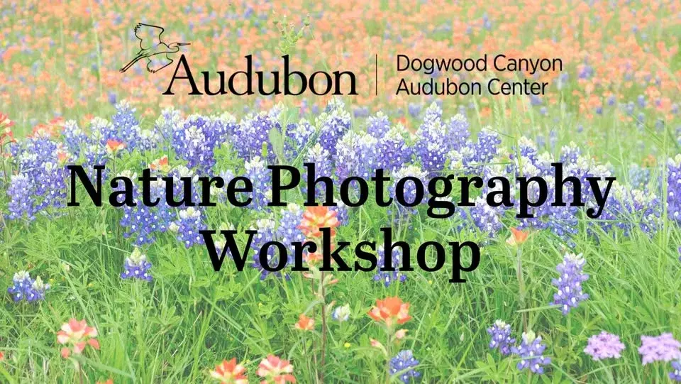 Nature Photography Workshop